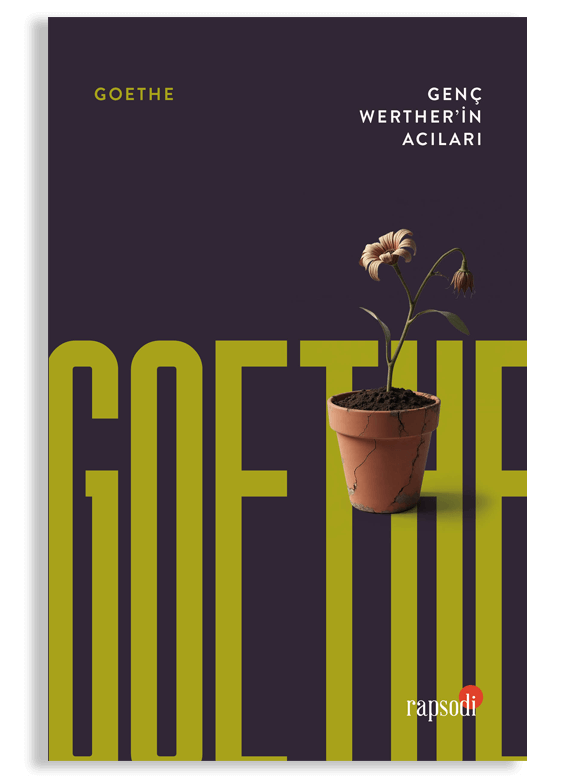 Genç Werther'in Acıları